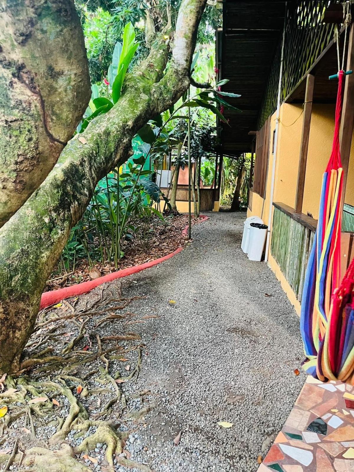 La Casa De Rolando Villa Puerto Viejo de Talamanca Luaran gambar