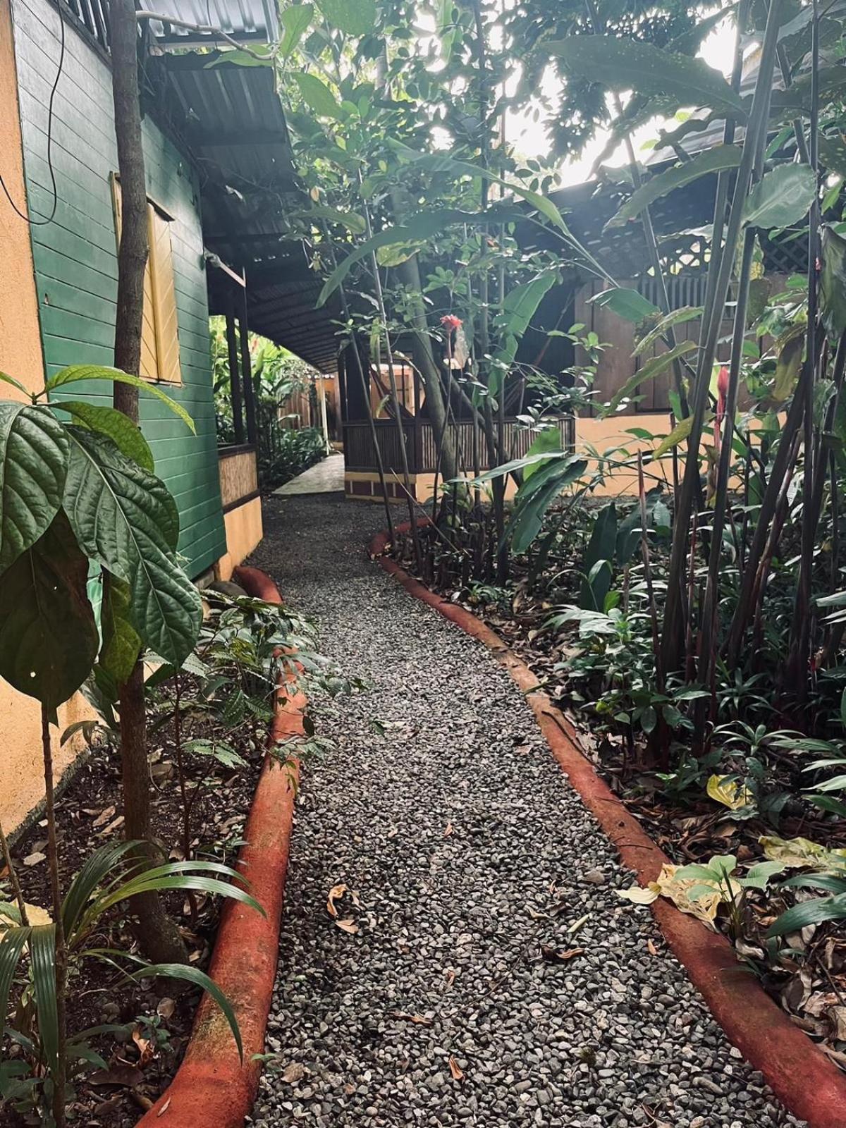 La Casa De Rolando Villa Puerto Viejo de Talamanca Luaran gambar