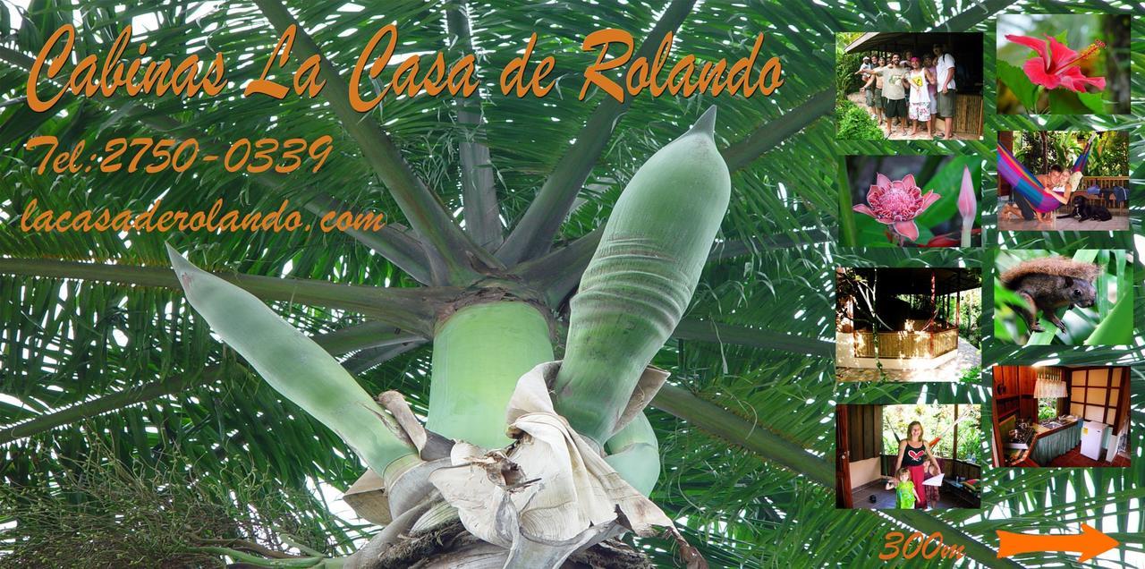 La Casa De Rolando Villa Puerto Viejo de Talamanca Luaran gambar
